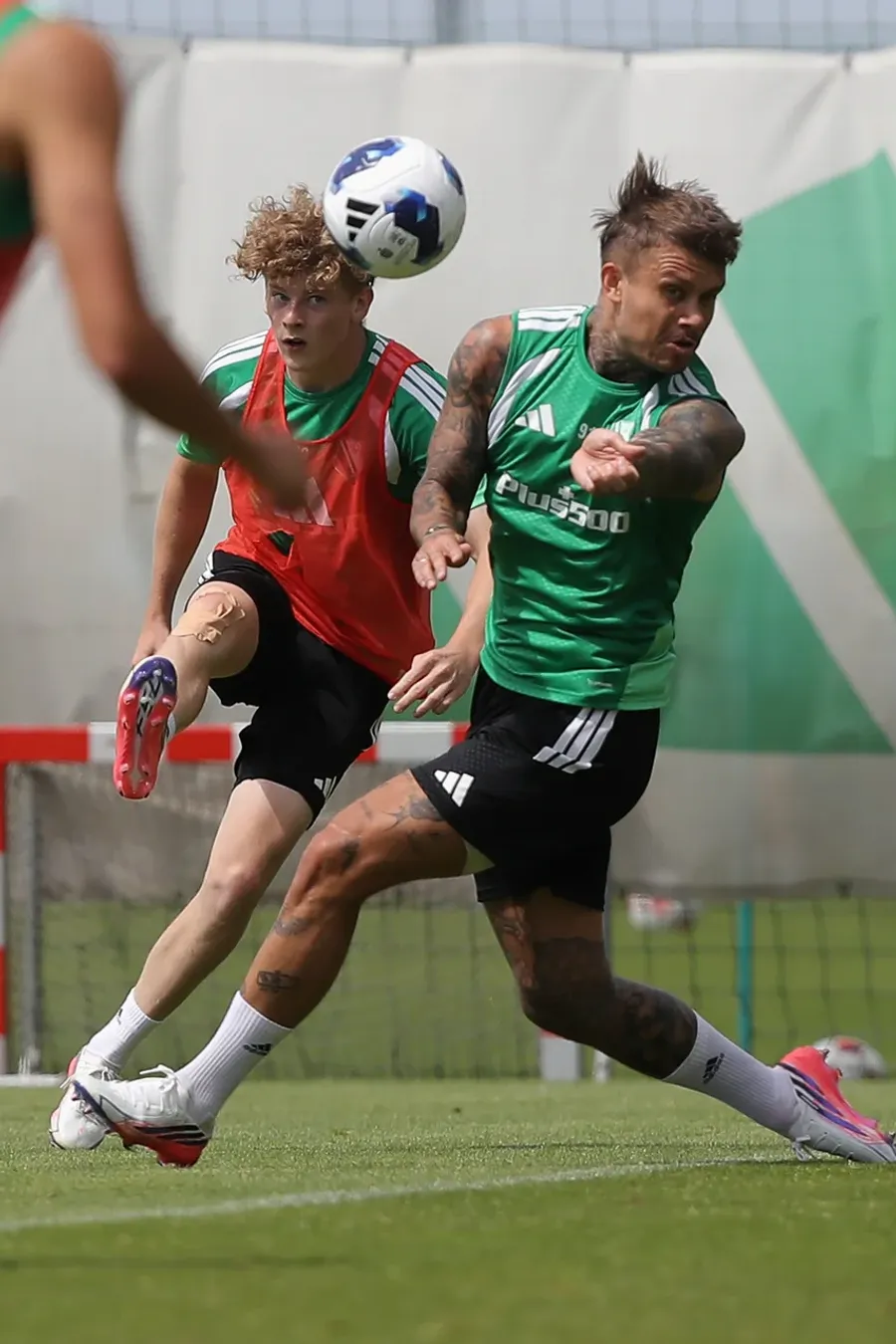 Trening Legii w LTC