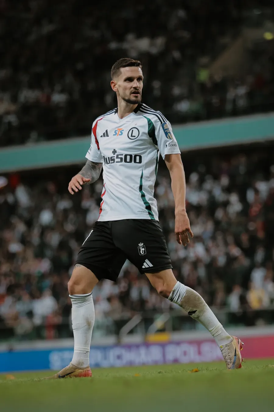 Petar Stojanović