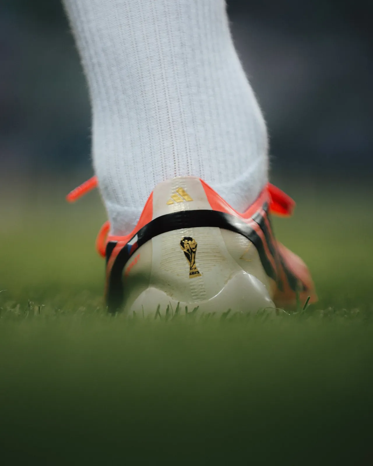 Legia - Radomiak
